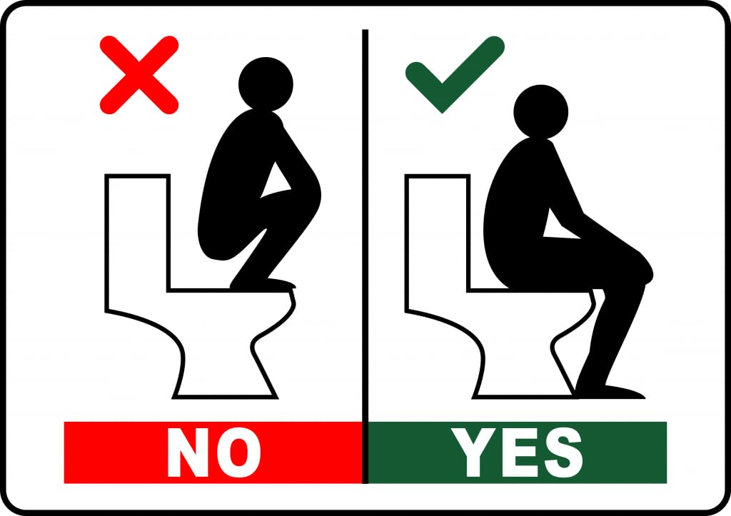 Amazon.com: Instructions On How To Use The Toilet Landscape